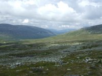 DSCF6359.jpg
