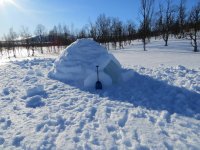 IMG_6260.jpg