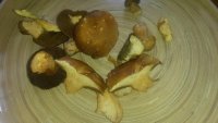 20150804_120805.jpg