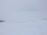 IMG_1625.jpg