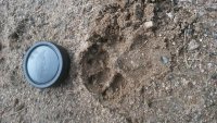 20150405_162330.jpg