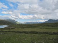 IMG_3098.jpg