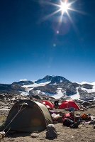 _MG_2850.jpg