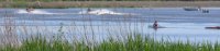 Vattenskoter IMG_1524.jpg