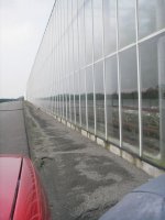 IMGP0283.jpg