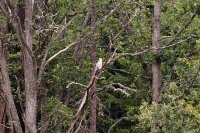 _DSC0166_2.jpg