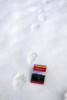 IMG_1266.JPG IMG_1266.JPG