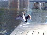 DSC00281.jpeg