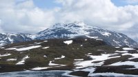 IMG_1750.jpg