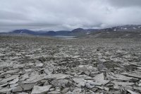 DSC_1641 kopiera.jpg