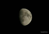IMG_20161116_122921.jpg