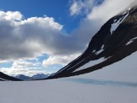 20170803_074221.jpg