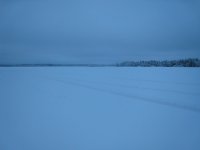 IMG_9847.jpg