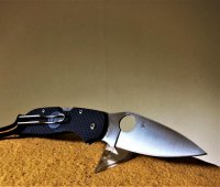 Min Spyderco Chaparral FRN, 2.jpg