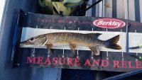 20200907_144737.jpg 20200907_144737.jpg