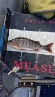 20200907_180733.jpg 20200907_180733.jpg