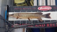 20200915_104157.jpg 20200915_104157.jpg