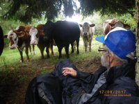 125 lw kor sökte skydd för en regnskur pukö rönö skärg..jpg