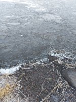 20210228_072038.jpg 20210228_072038.jpg