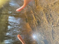 645FC283-A989-4D84-B1FF-9796C1E48755.jpeg