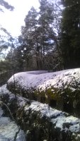 IMG_20220219_150054.jpg