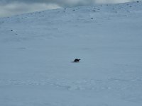 IMG_20230409_214108.jpg
