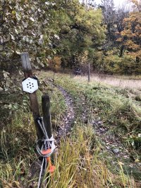 IMG_0853.jpeg