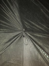 C685055E-8414-439A-AB3A-BF2E4DFFB742.jpeg