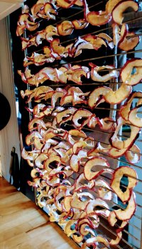 DSC_0468.JPG DSC_0468.JPG