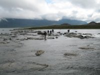 Vandring Abisko 070720-070726 108.jpg