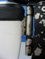 IMG_4137.jpg