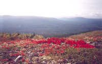 1fjall1.jpg