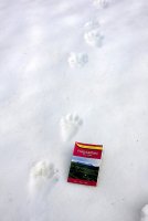 IMG_1266.JPG IMG_1266.JPG