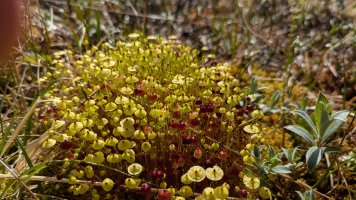 IMG_1994.jpeg