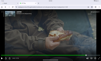 Screenshot_20240711-142200.png