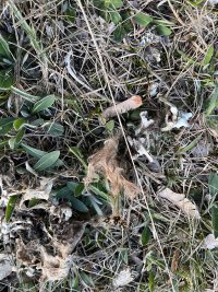 IMG_7094.jpeg