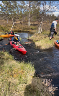 fjätan8.png