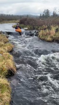 fjätan9.jpg