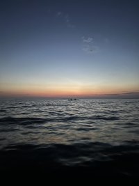 IMG_5130.jpeg