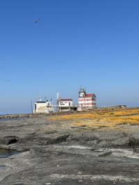 IMG_5172.jpeg