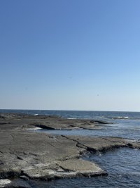 IMG_5175.jpeg