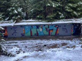 IMG_4257.jpeg