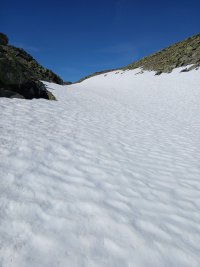 20250715_132845.jpg