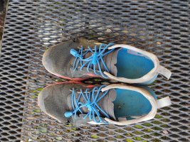 IMG_20250825_103150.jpg