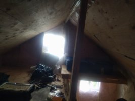 IMG_20250913_120927.jpg