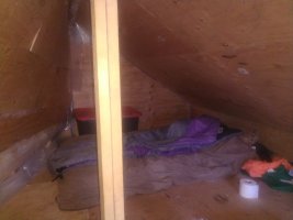 IMG_20250913_120859.jpg