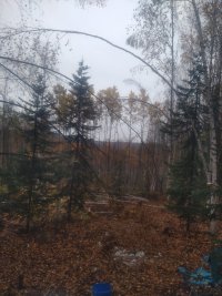 IMG_20250922_093928.jpg