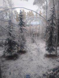 IMG_20250923_080921.jpg