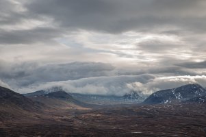 _MG_5612.jpg