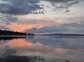 IMG_20250615_231424.jpg IMG_20250615_231424.jpg